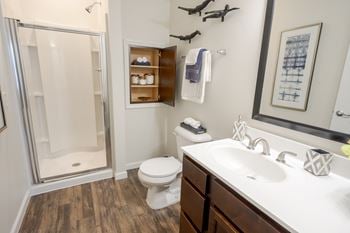Spa inspired bathroom